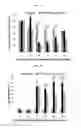 Fig. 13 - Compositions and methods for treatment of homocystinuria
