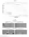 Fig. 14 - Compositions and methods for treatment of homocystinuria