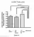 Fig. 06 - Methods, antibodies, and vaccines utilizing epitopes of alpha synuclein for treatment of Parkinson's disease