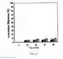 Fig. 04 - Scaffolds for cell transplantation