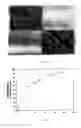 Fig. 06 - Scaffolds for cell transplantation