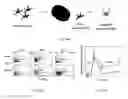 Fig. 22 - Scaffolds for cell transplantation