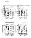Fig. 07 - IMMUNOTHERAPY FOR CANCER