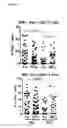 Fig. 08 - IMMUNOTHERAPY FOR CANCER