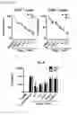 Fig. 22 - IMMUNOTHERAPY FOR CANCER