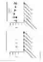 Fig. 22 - L2 peptide immunogenicity