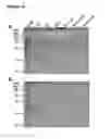 Fig. 19 - Method for producing virus like particles
