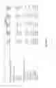 Fig. 55 - METHODS FOR TREATING OR PREVENTING ASTHMA BY ADMINISTERING AN IL-4R ANTAGONIST