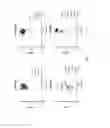 Fig. 02 - Agonist antibodies that bind human CD137 and uses thereof
