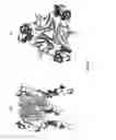 Fig. 06 - Agonist antibodies that bind human CD137 and uses thereof