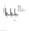 Fig. 33 - Agonist antibodies that bind human CD137 and uses thereof