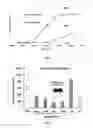 Fig. 02 - THERAPEUTIC AGENT FOR SOLID CANCER