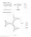 Fig. 02 - PHOTOCLEAVABLE DRUG CONJUGATES