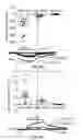Fig. 32 - DEVICES, SYSTEMS AND METHODS FOR OPTOGENETIC MODULATION OF ACTION POTENTIALS IN TARGET CELLS