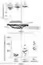Fig. 34 - DEVICES, SYSTEMS AND METHODS FOR OPTOGENETIC MODULATION OF ACTION POTENTIALS IN TARGET CELLS
