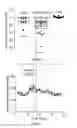 Fig. 41 - DEVICES, SYSTEMS AND METHODS FOR OPTOGENETIC MODULATION OF ACTION POTENTIALS IN TARGET CELLS