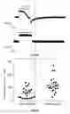 Fig. 59 - DEVICES, SYSTEMS AND METHODS FOR OPTOGENETIC MODULATION OF ACTION POTENTIALS IN TARGET CELLS