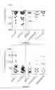 Fig. 70 - DEVICES, SYSTEMS AND METHODS FOR OPTOGENETIC MODULATION OF ACTION POTENTIALS IN TARGET CELLS