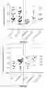 Fig. 71 - DEVICES, SYSTEMS AND METHODS FOR OPTOGENETIC MODULATION OF ACTION POTENTIALS IN TARGET CELLS