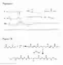 Fig. 02 - Poly (beta-amino esters) and uses thereof
