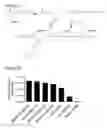 Fig. 04 - Poly (beta-amino esters) and uses thereof