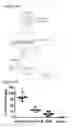 Fig. 07 - Poly (beta-amino esters) and uses thereof