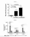 Fig. 02 - Immunogenic compound