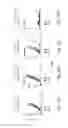 Fig. 12 - Binding protein drug conjugates comprising anthracycline derivatives