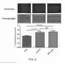Fig. 09 - Methods and compositions for treating metabolic imbalance