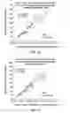 Fig. 12 - Methods for renal function determination
