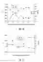 Fig. 17 - Methods for renal function determination
