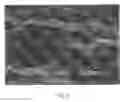 Fig. 02 - Protein biomaterials and biocoacervates and methods of making and using thereof