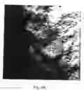 Fig. 07 - Protein biomaterials and biocoacervates and methods of making and using thereof