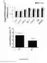 Fig. 07 - Compositions and methods for grafts modified with a non-thrombogenic and pro-migratory cell-derived extracellular matrix