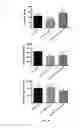 Fig. 08 - Compositions and methods for grafts modified with a non-thrombogenic and pro-migratory cell-derived extracellular matrix