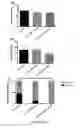 Fig. 22 - Compositions and methods for grafts modified with a non-thrombogenic and pro-migratory cell-derived extracellular matrix