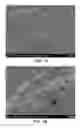 Fig. 03 - Electrostatic Charge-Induced Coating of Substrates with Biomolecules