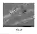 Fig. 04 - Electrostatic Charge-Induced Coating of Substrates with Biomolecules