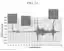 Fig. 19 - Methods for treatment of pulmonary lung diseases with improved therapeutic efficacy and improved dose efficiency