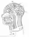 Fig. 01 - COGNITIVE FUNCTION WITHIN A HUMAN BRAIN