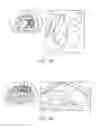 Fig. 07 - COGNITIVE FUNCTION WITHIN A HUMAN BRAIN