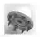 Fig. 01 - HAIR CARE DEVICE