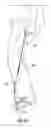 Fig. 08 - Pendulum jump rope