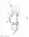Fig. 02 - Footwear harness for user activities