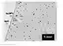 Fig. 01 - Titanium dioxide / sulfonated graphene oxide / Ag nanoparticle composite membrane and preparation and application thereof