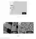 Fig. 02 - Titanium dioxide / sulfonated graphene oxide / Ag nanoparticle composite membrane and preparation and application thereof