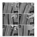 Fig. 02 - Preparation method of a visible-light-driven CC@SnS/SnOcomposite catalyst, and application thereof