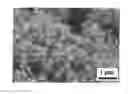 Fig. 01 - Nanometer-size zeolitic particles and method for the production thereof