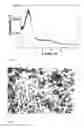 Fig. 04 - Nanometer-size zeolitic particles and method for the production thereof