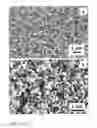 Fig. 09 - Nanometer-size zeolitic particles and method for the production thereof